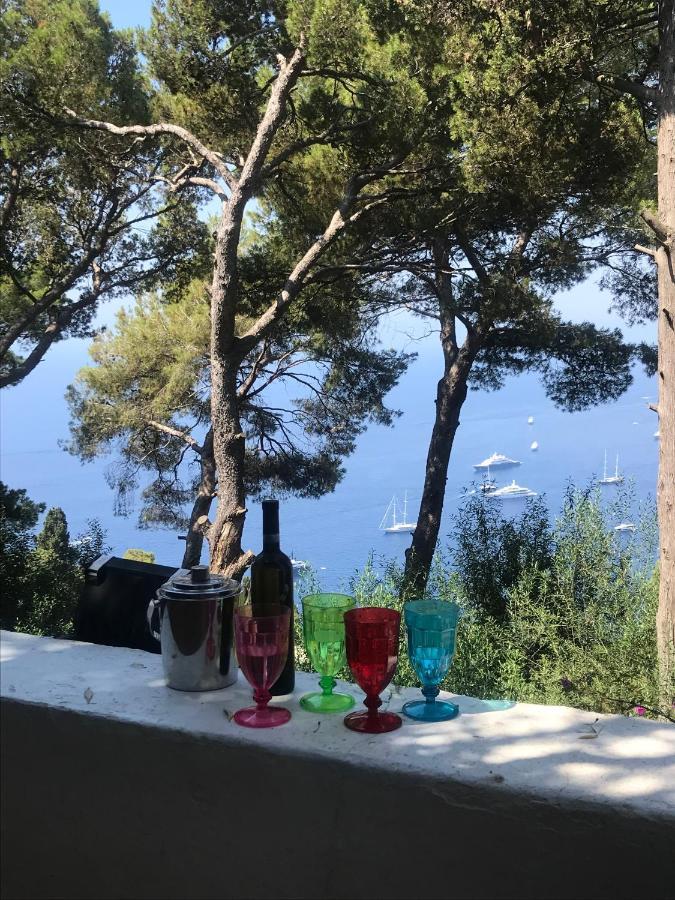 Villa Guya Capri Zewnętrze zdjęcie