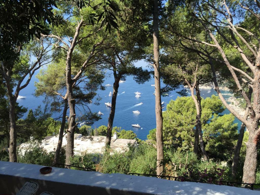 Villa Guya Capri Zewnętrze zdjęcie