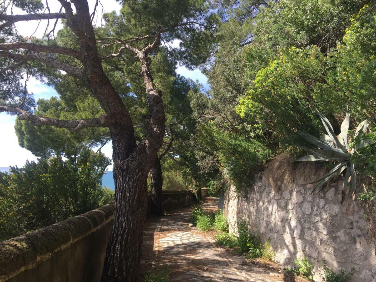 Villa Guya Capri Zewnętrze zdjęcie