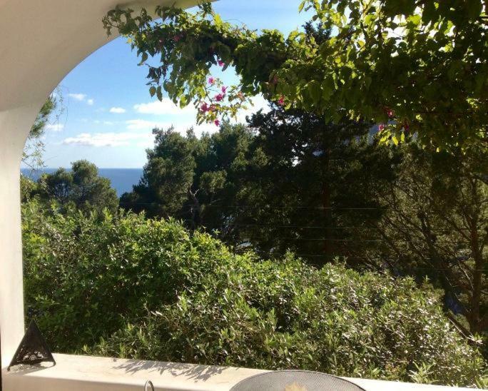 Villa Guya Capri Zewnętrze zdjęcie